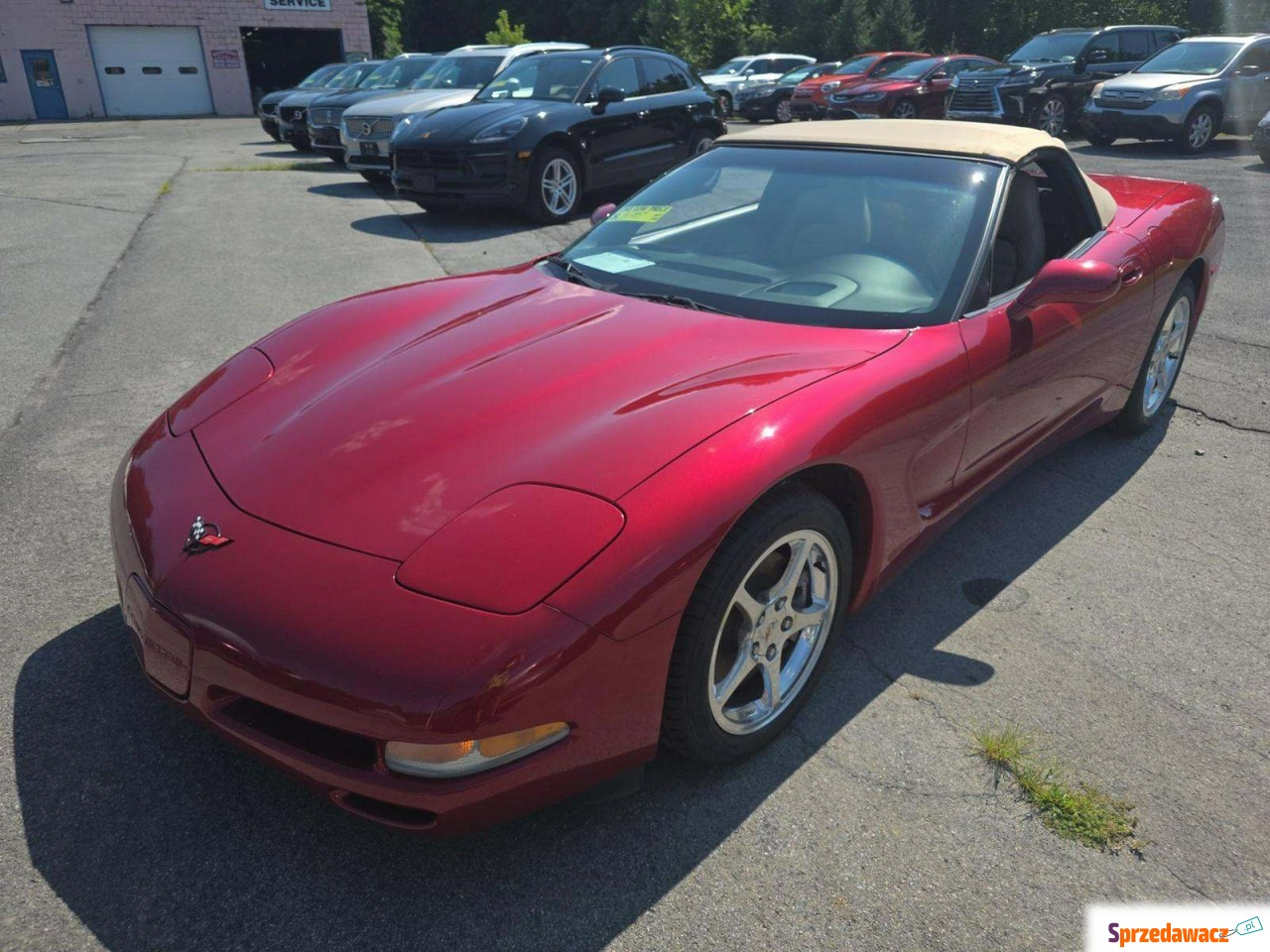 Chevrolet Corvette 2004