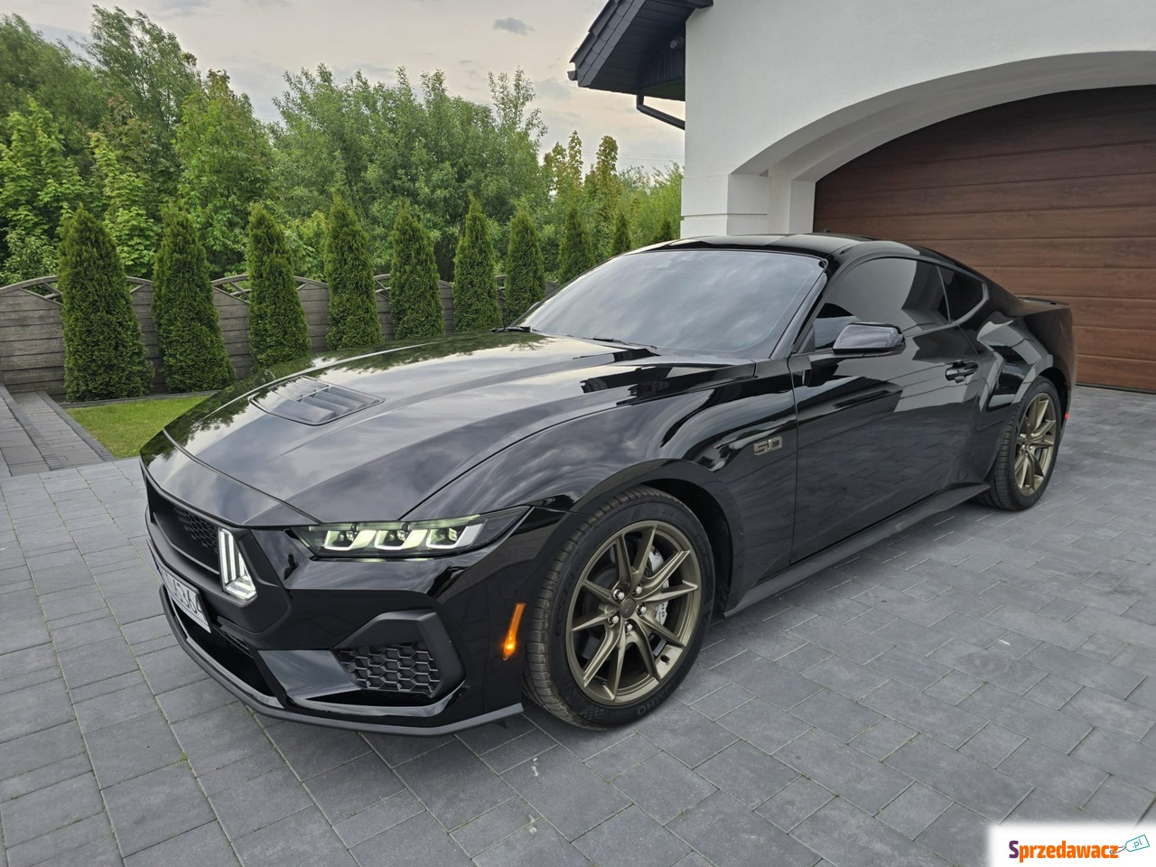 Ford Mustang 2024