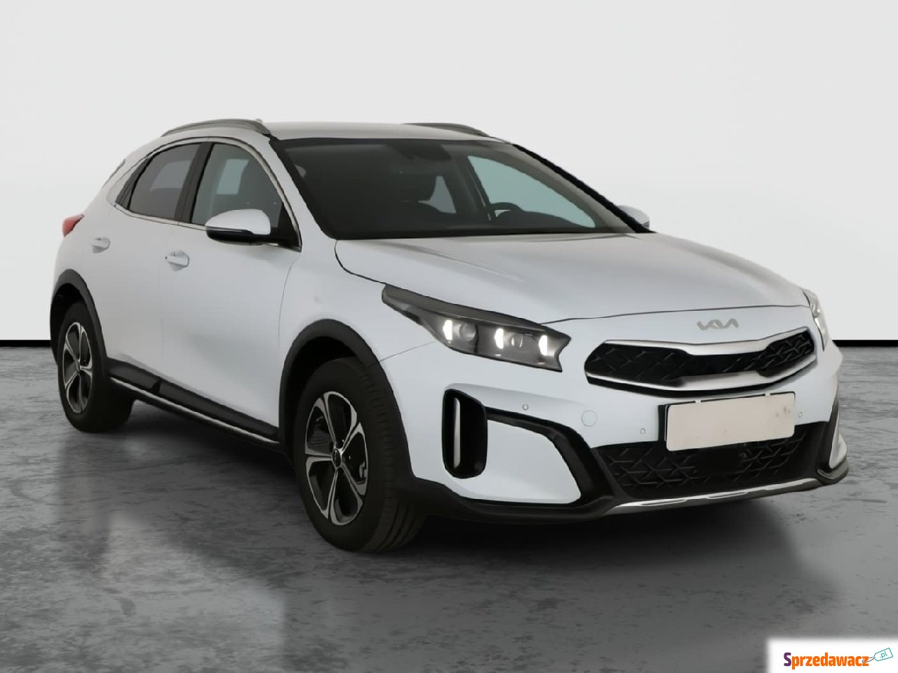 Kia 2024