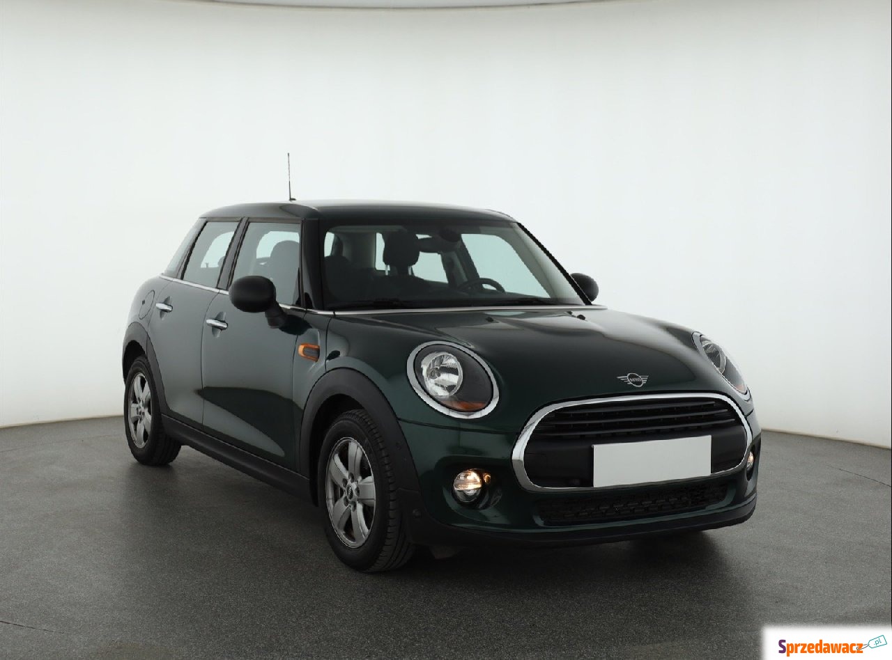 Mini 2018