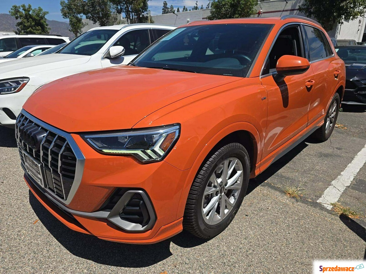 Audi Q3 2021