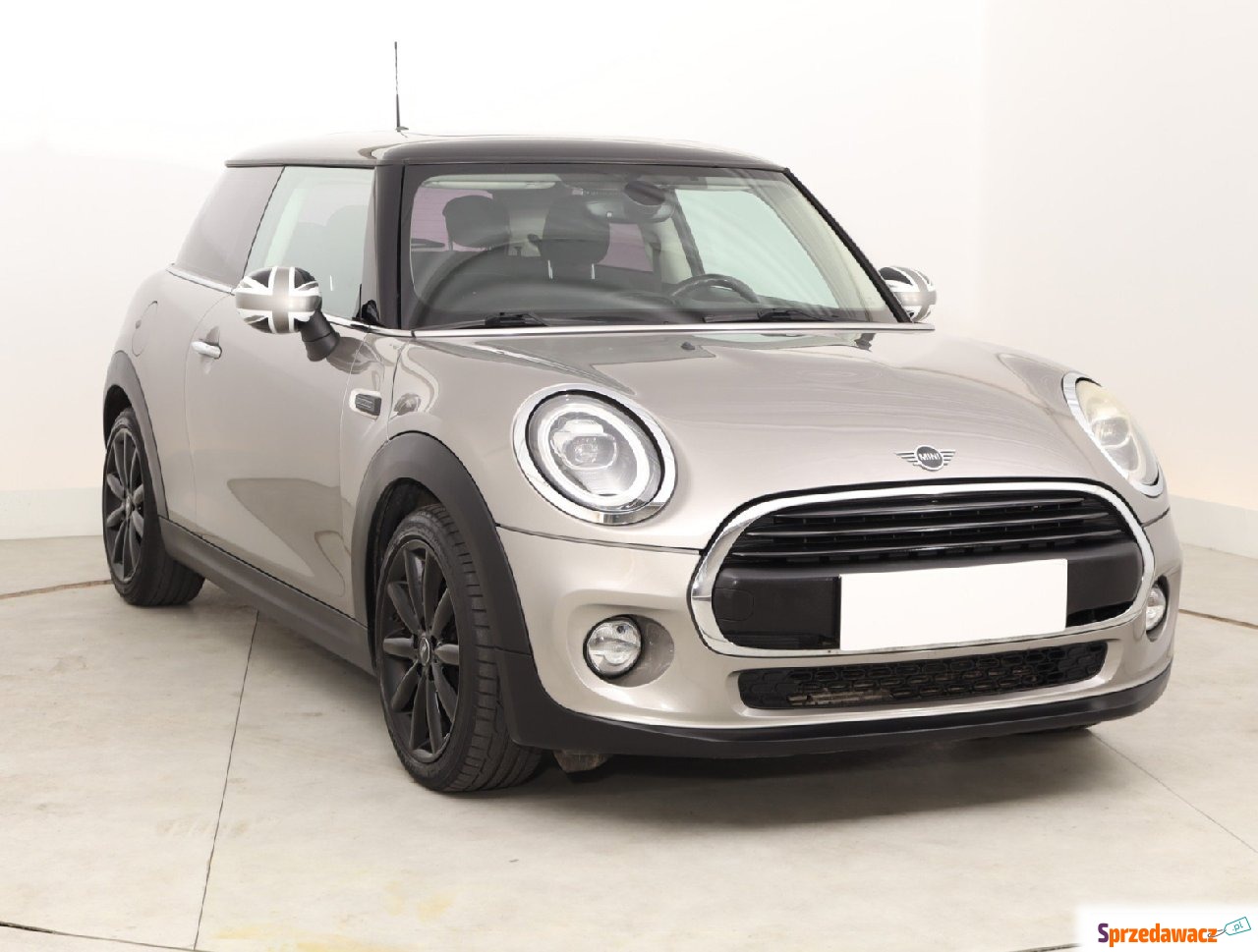 Mini 2018