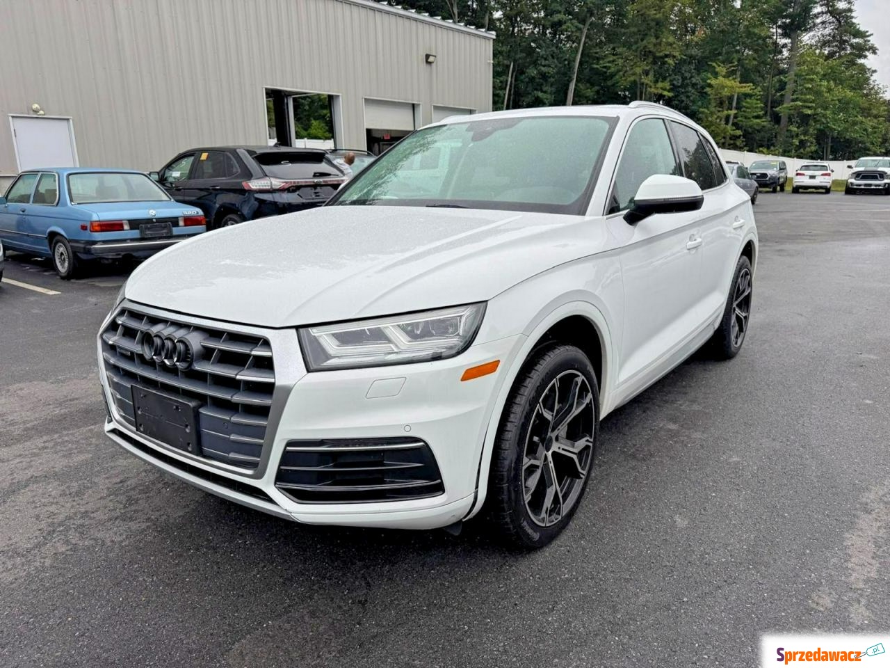 Audi Q5 2019