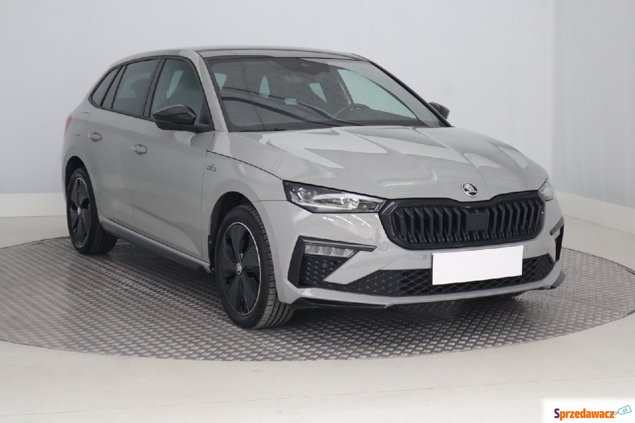 Skoda 2024