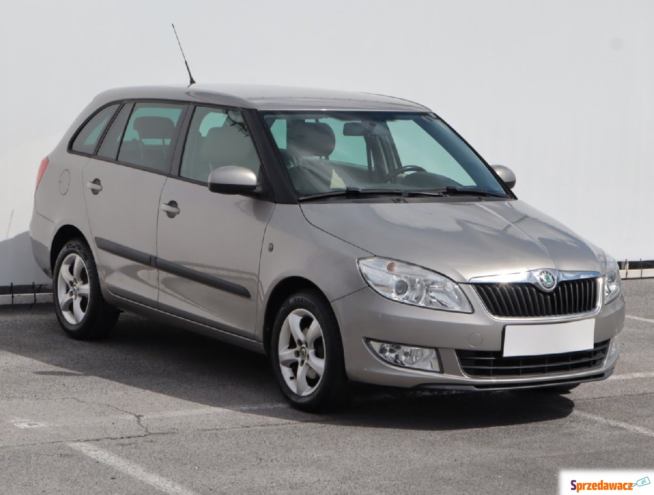 Skoda Fabia 2010
