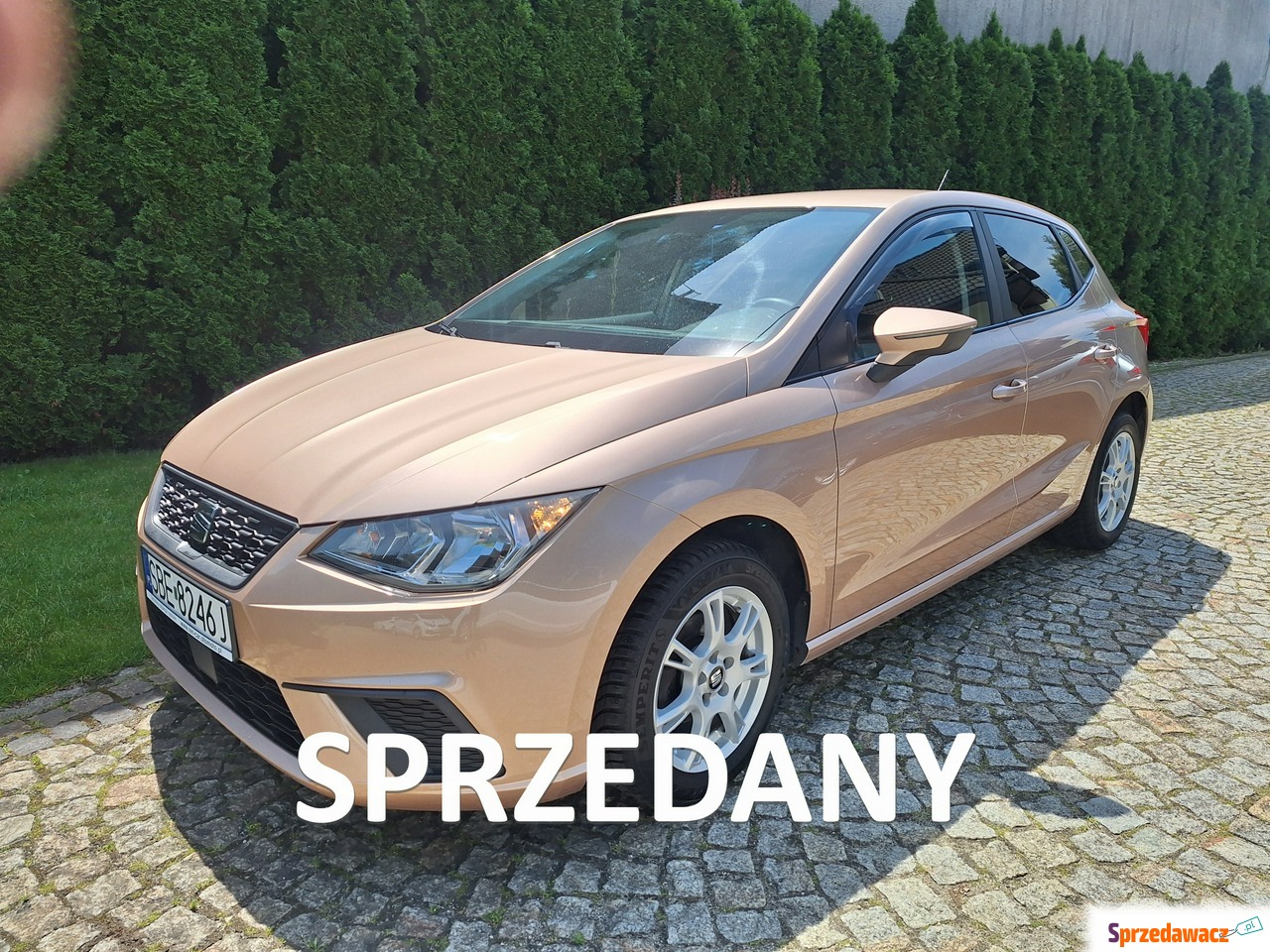 Seat Ibiza 2019