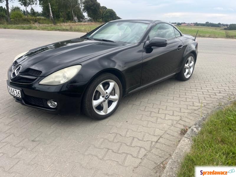 Mercedes - Benz SLK-klasa 2010