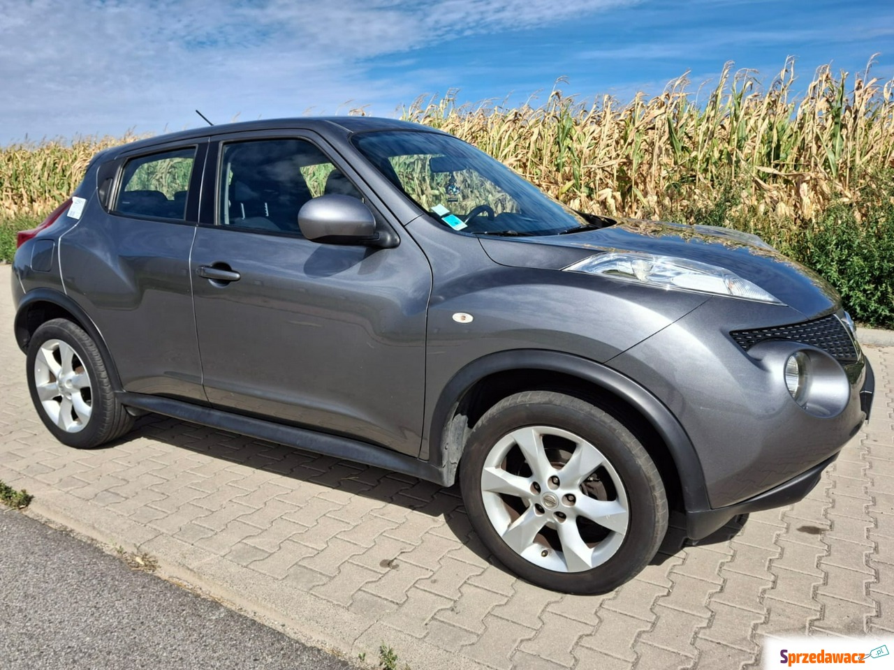 Nissan Juke 2011