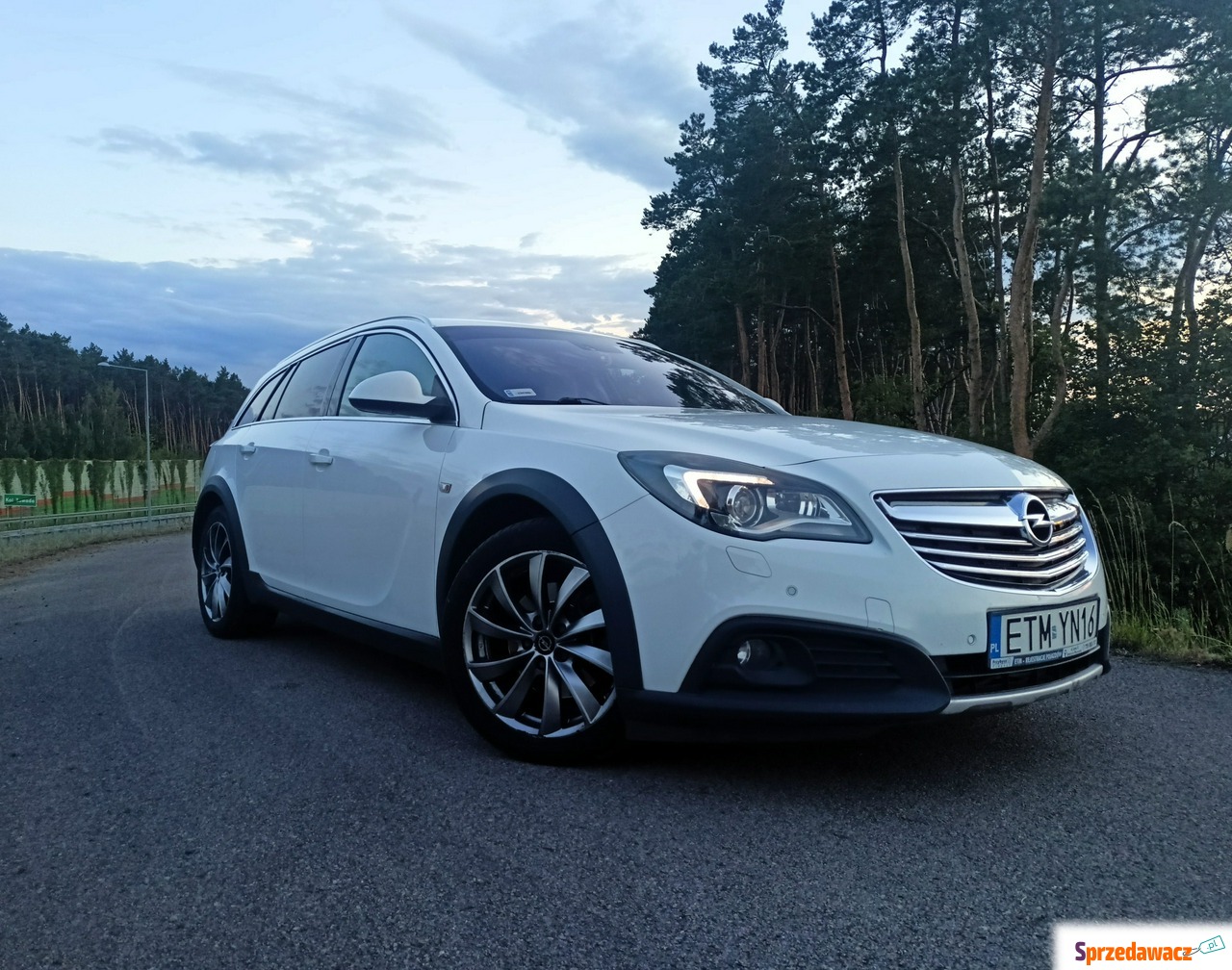 Opel Insignia 2013