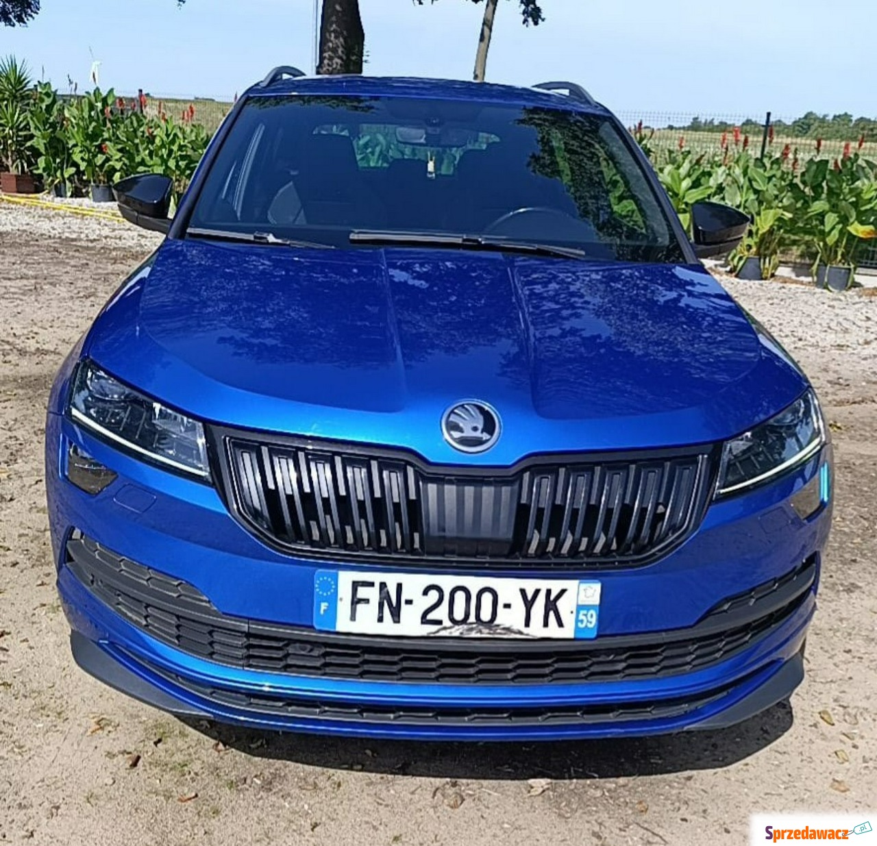 Skoda Karoq 2020