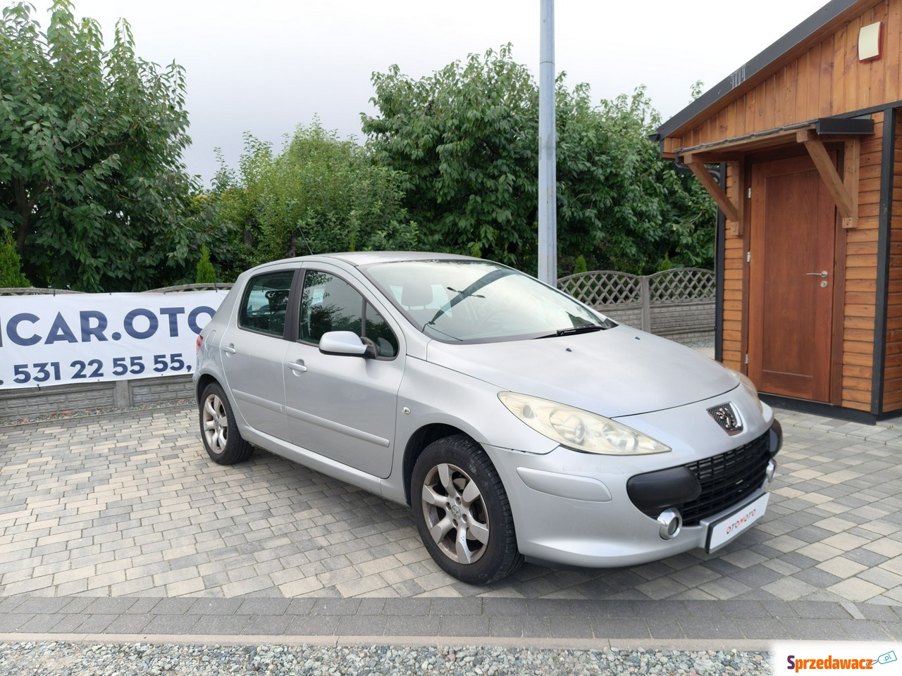 Peugeot 307 2007