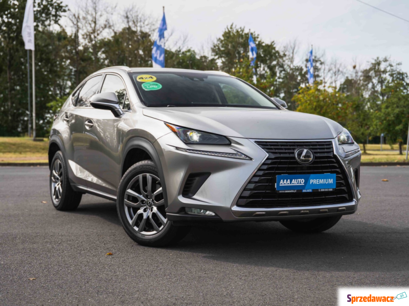 Lexus NX 2020