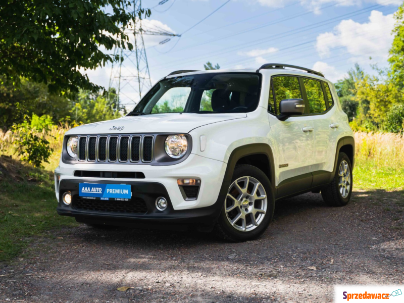 Jeep Renegade 2019