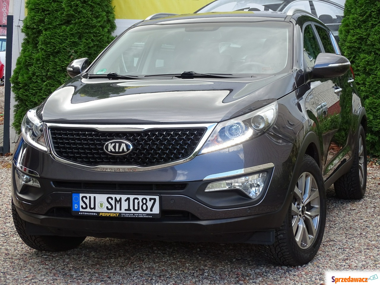 Kia Sportage 2015