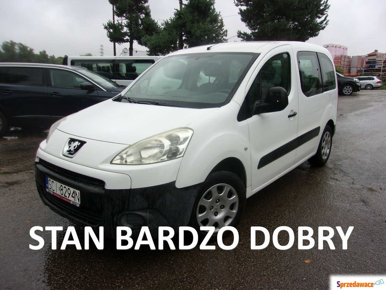 Peugeot Partner 2010