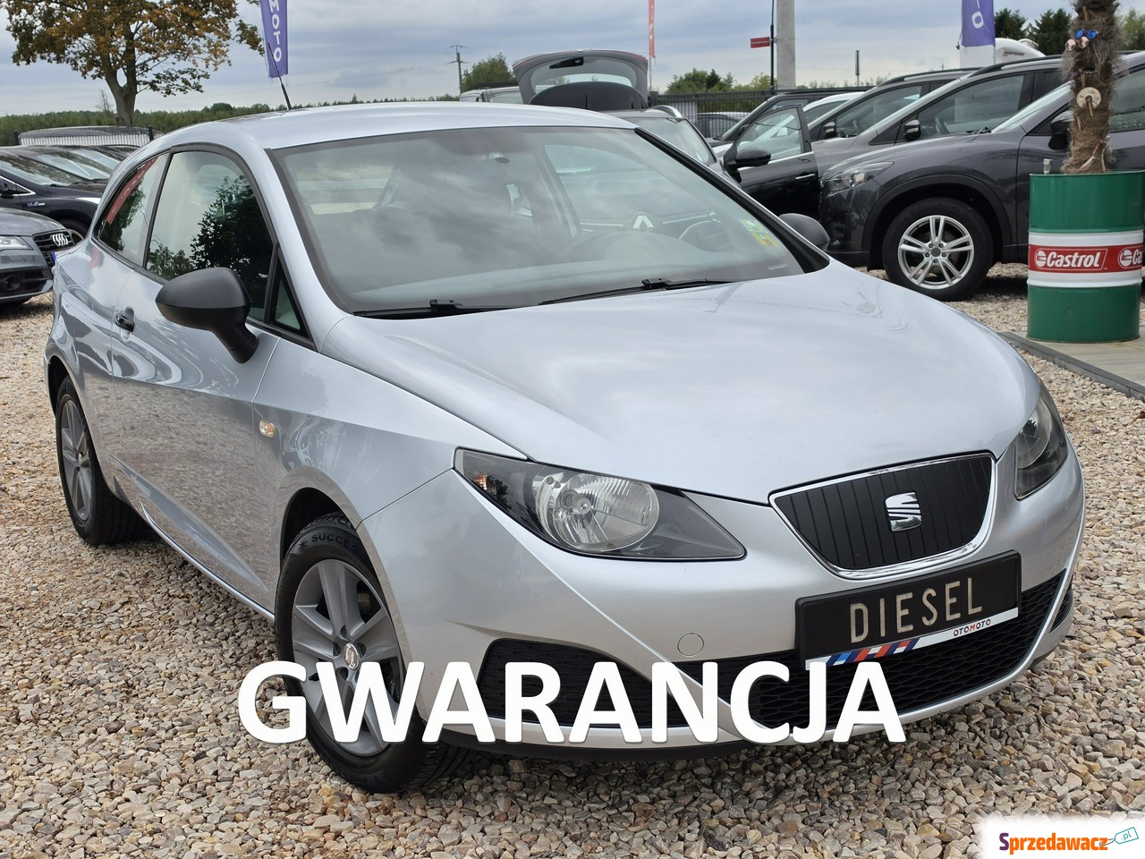 Seat Ibiza 2010