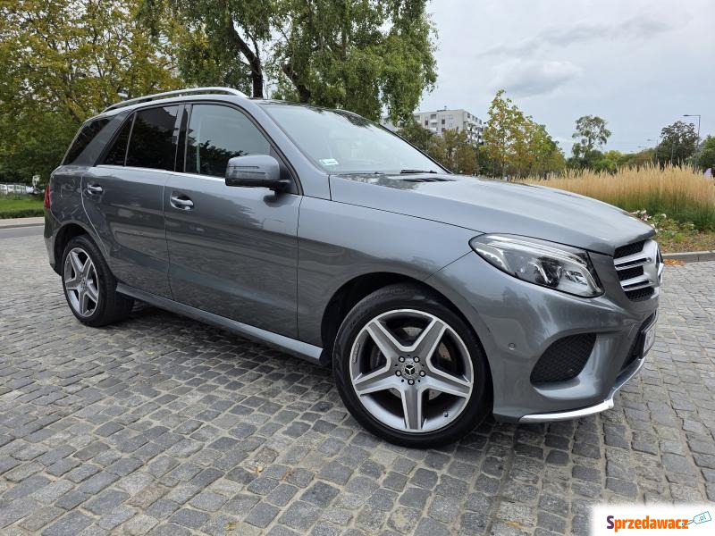 Mercedes - Benz GLE-klasa 2018