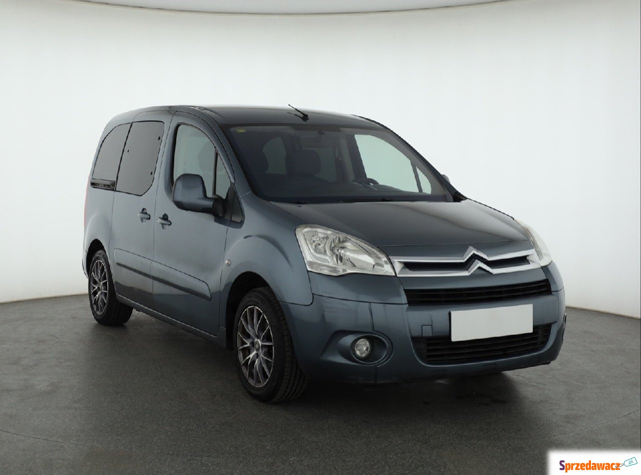 Citroen Berlingo 2009