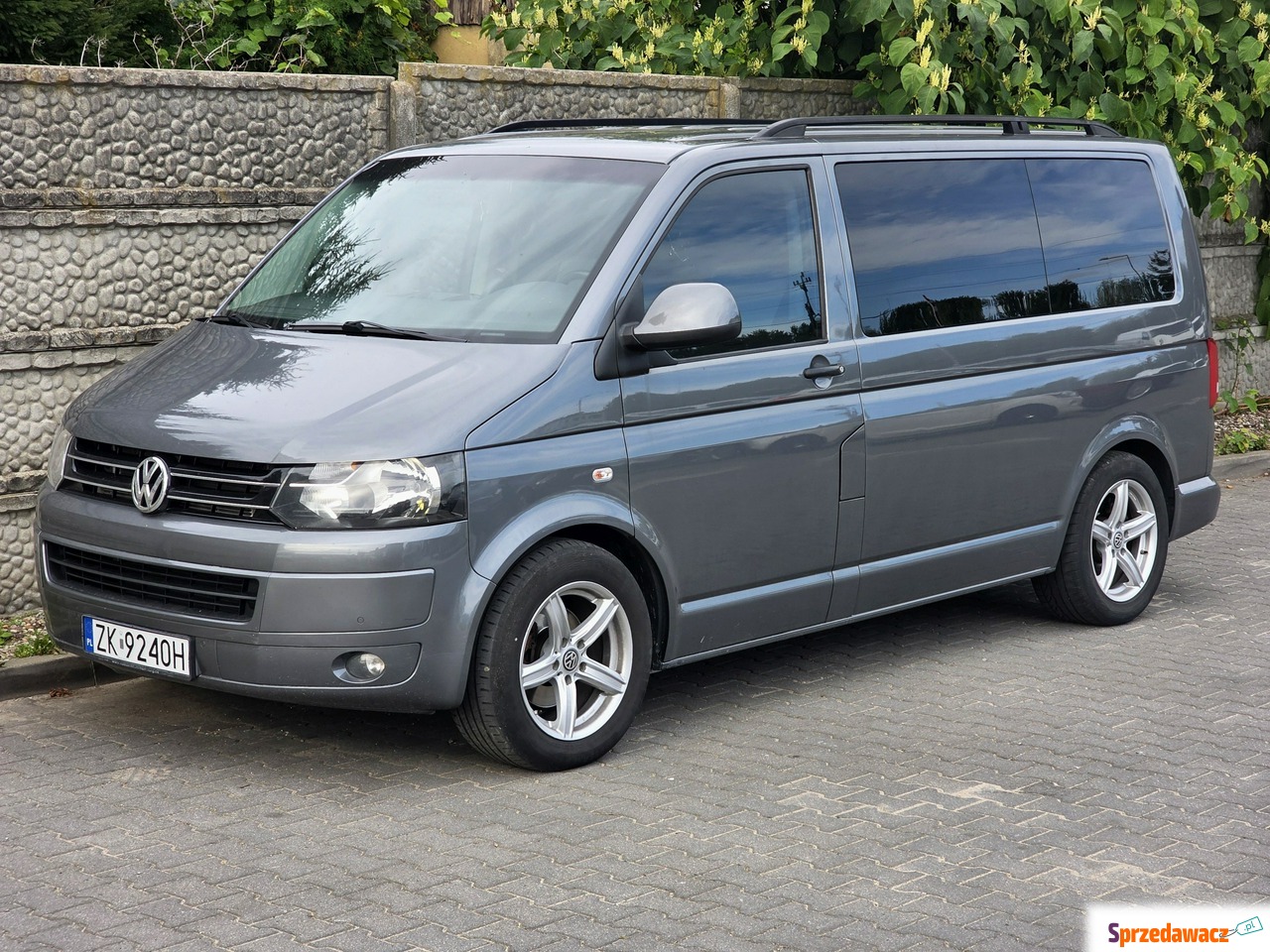 Volkswagen Multivan 2010