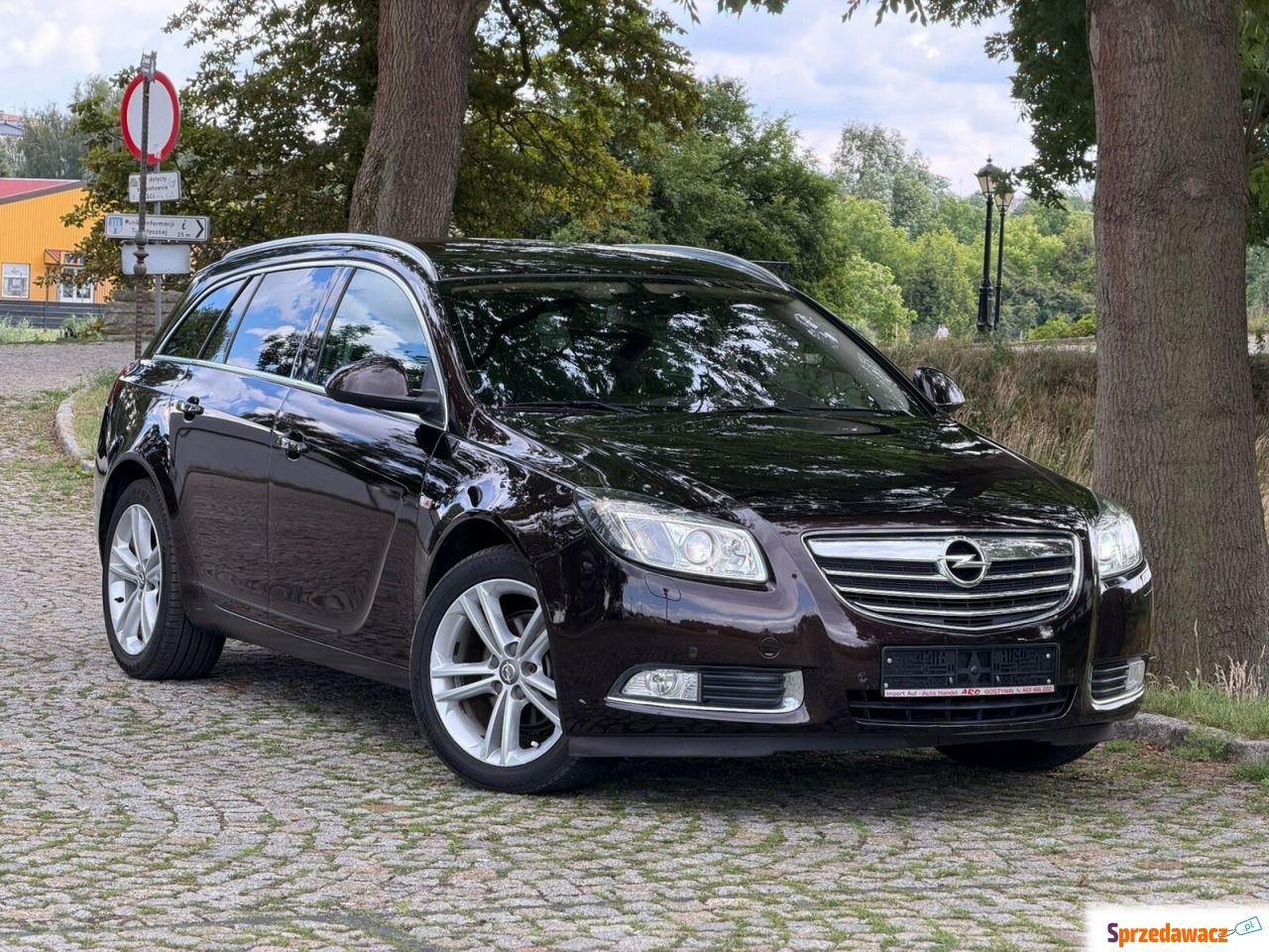 Opel Insignia 2013