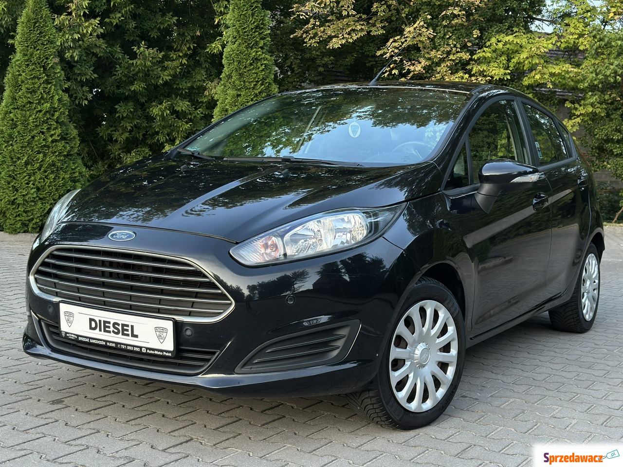 Ford Fiesta 2014