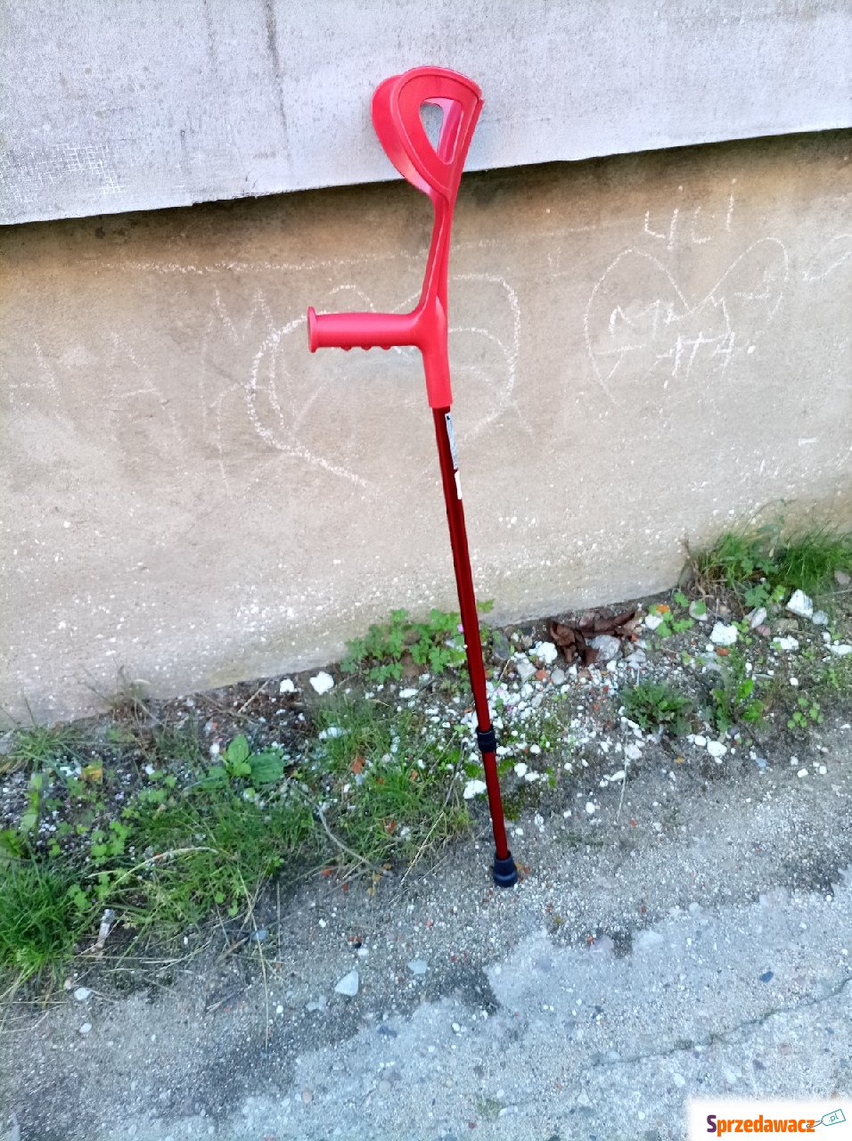 kula ortopedyczna