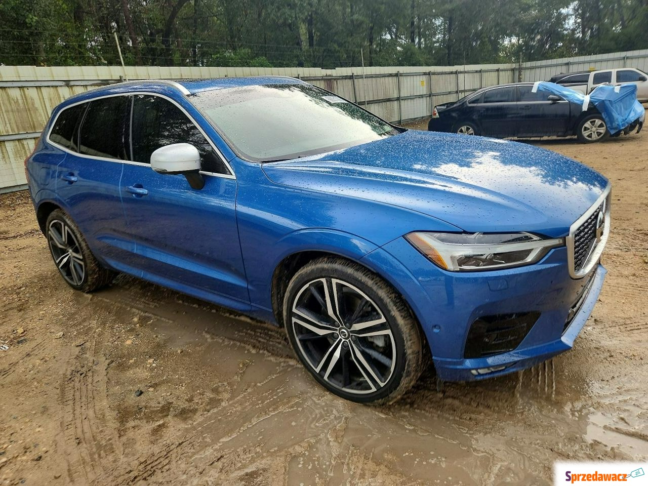 Volvo 2019