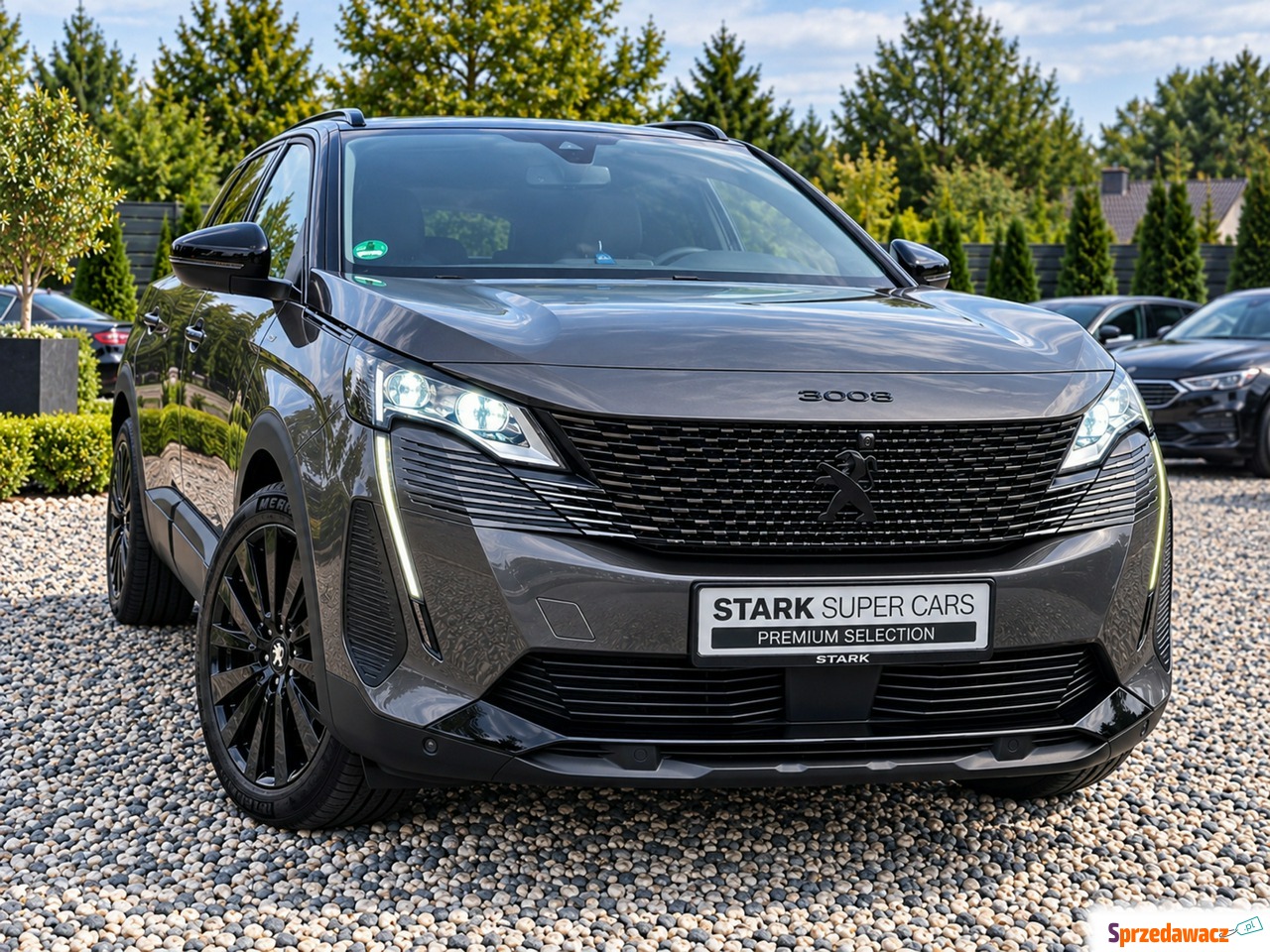 Peugeot 3008 2022